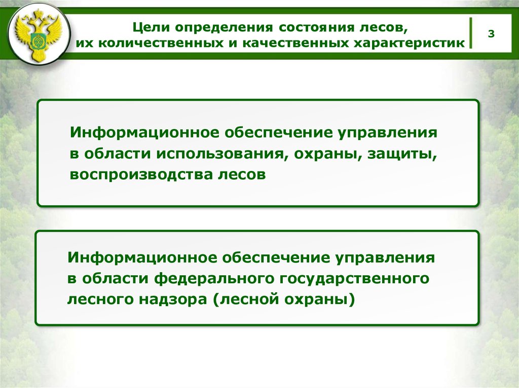 Проведение государственной экспертизы проектов освоения лесов. Правовое регулирование использования и охраны лесов. Лес как объект правовой охраны. Рассказать о регулировании использования и охраны лесов.. Лес как объект использования и охраны.