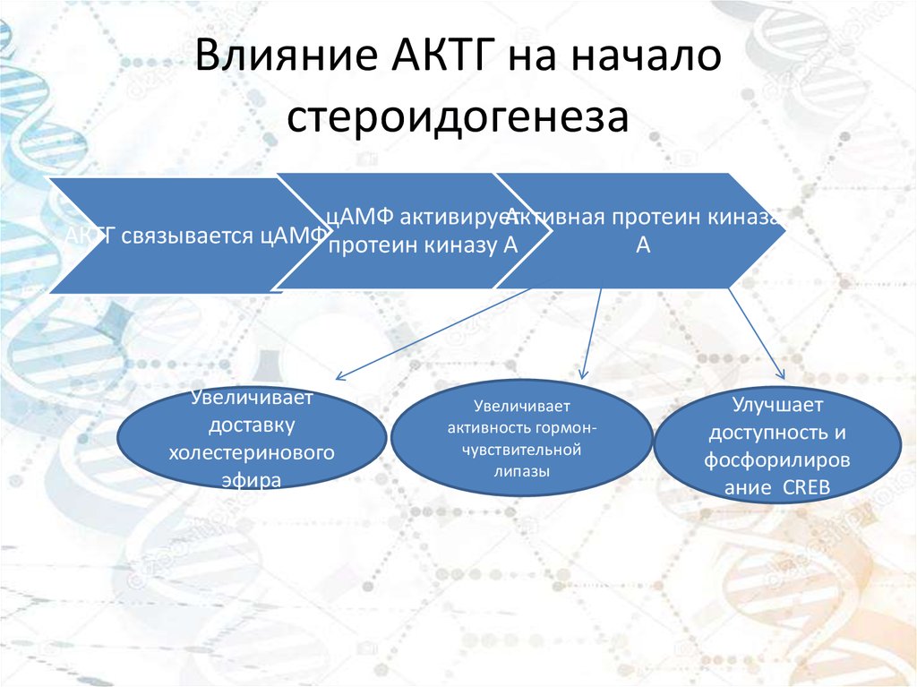 Инциденталома