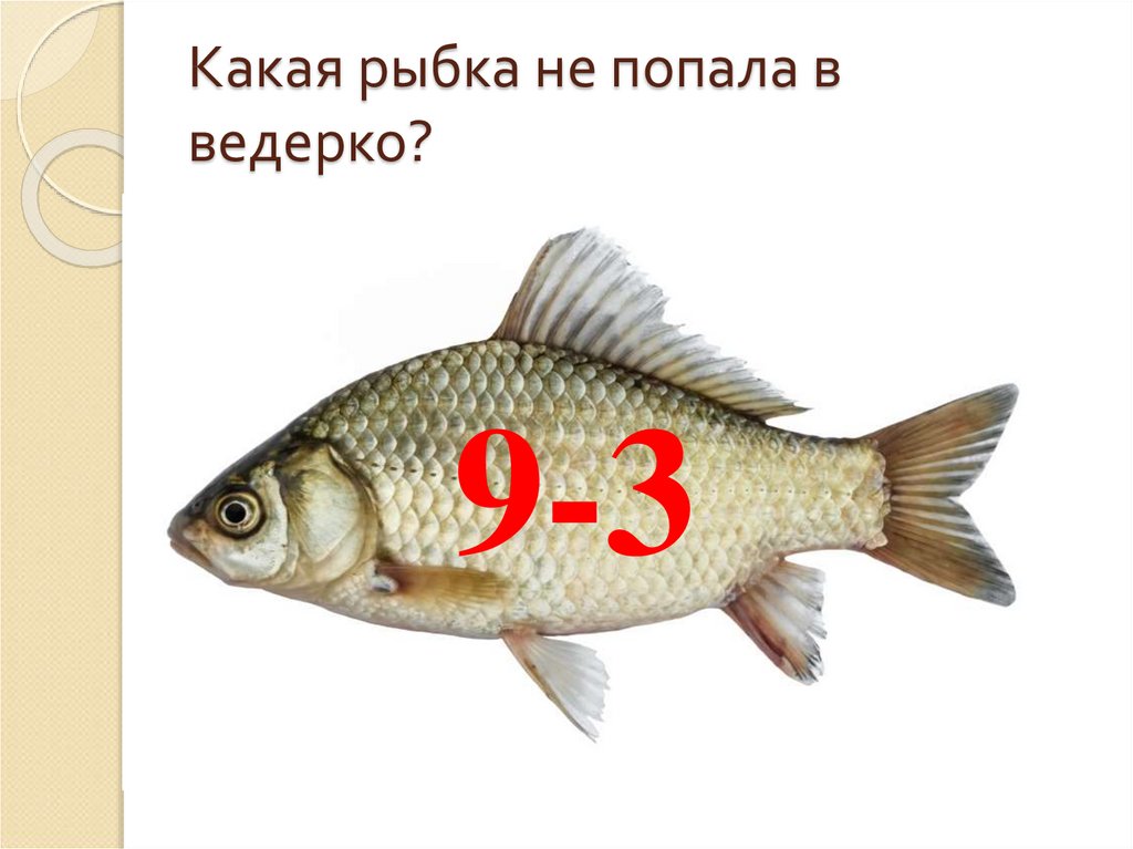 Какая рыба носит имя человека загадка ответ. Во какая рыба попалась. Какая рыба носит имя человека. Какой звук у рыб.