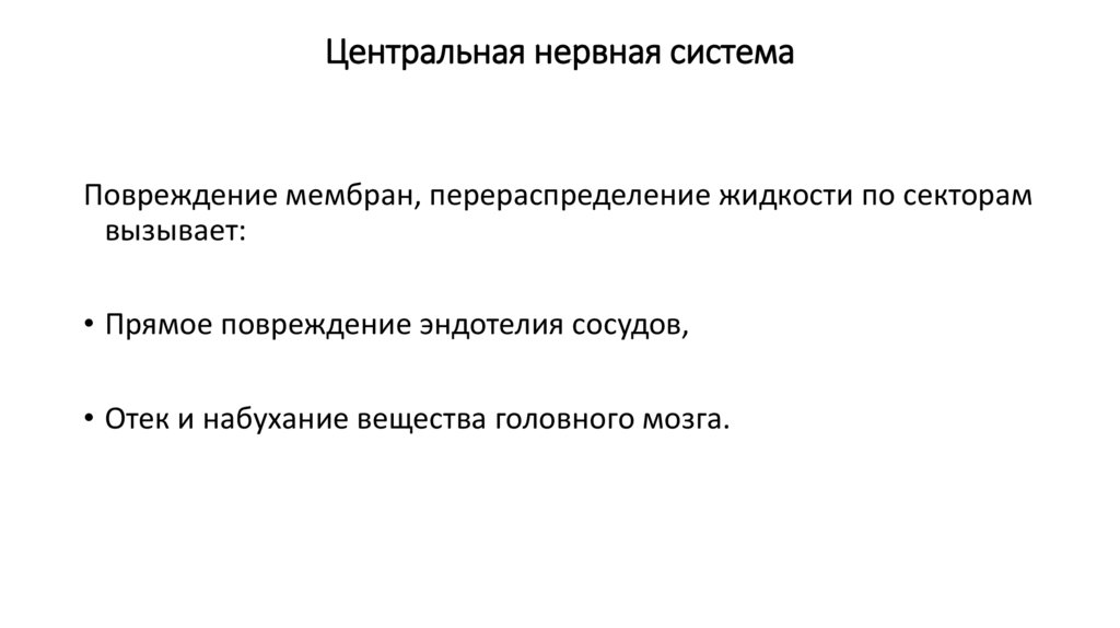 Центральная нервная система