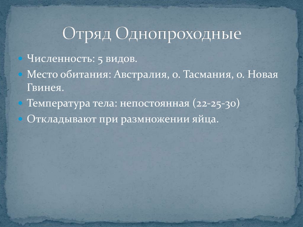 Презентация на тему однопроходные биология 7 класс