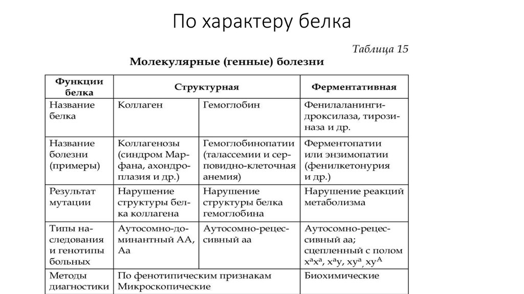 Состав строение функции белков