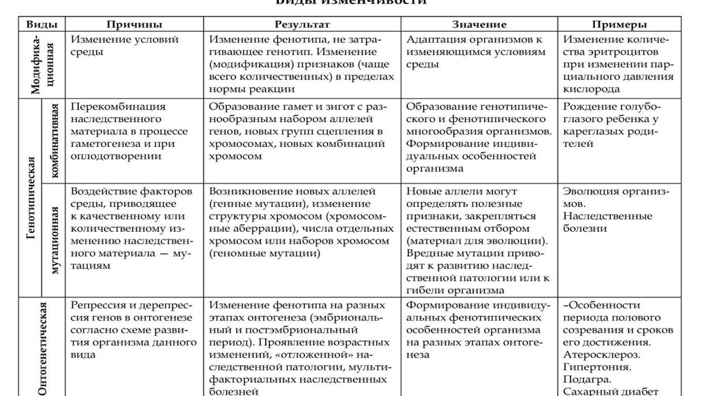 Составьте схему виды мутаций