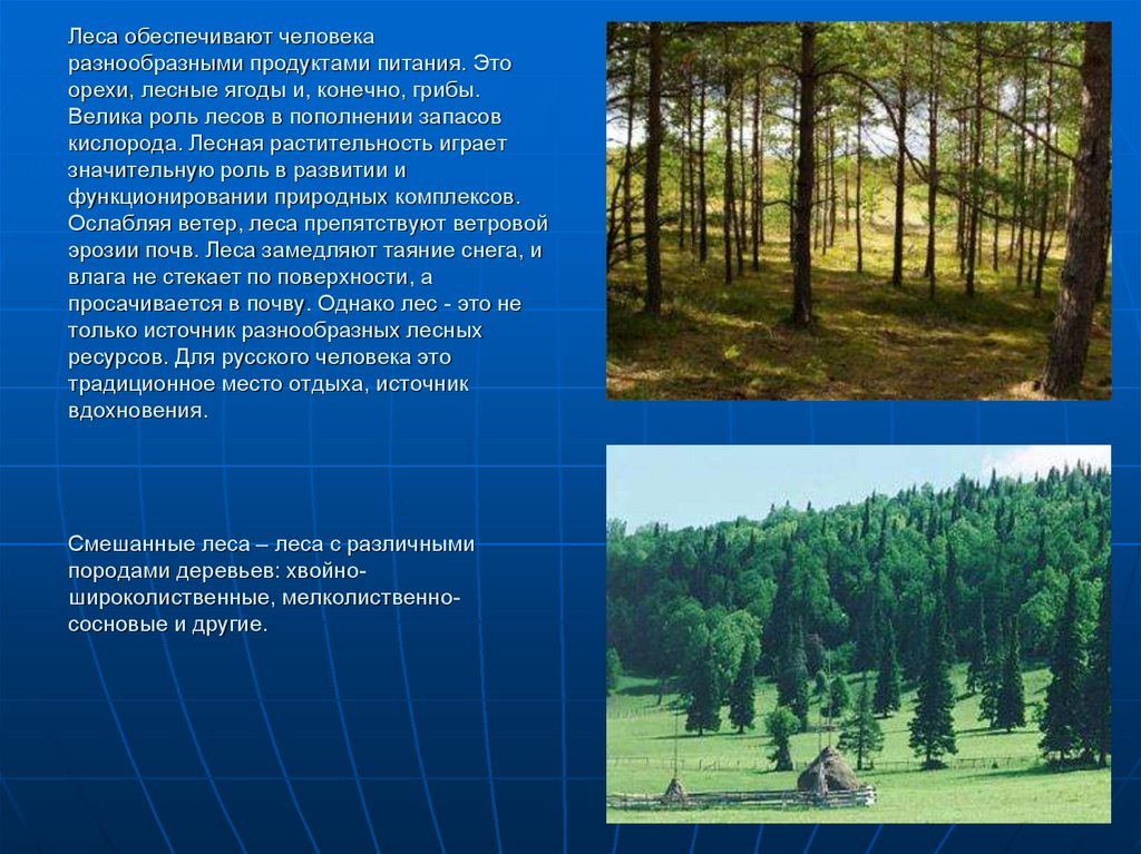 Смешанный лес факторы. Природные ресурсы зоны смешанных и широколиственных лесов. Лес русской равнины. Смешанные и широколиственные леса. Зона смешанных широколиственно-хвойных лесов.