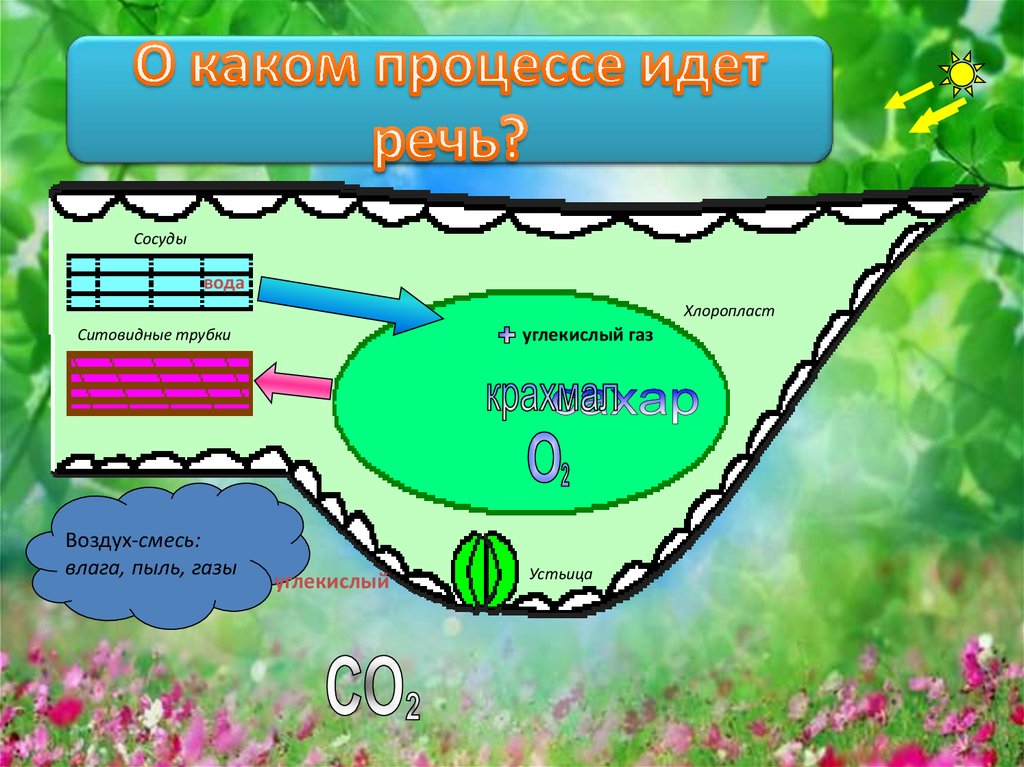 Схема фотосинтеза в природе. Схема фотосинтеза и дыхания. Процесс обратный фотосинтезу. Приспособление растений к фотосинтезу. Схема процесса фотосинтеза.