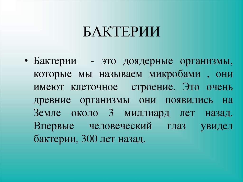 Бактерии 2 класс окружающий мир презентация