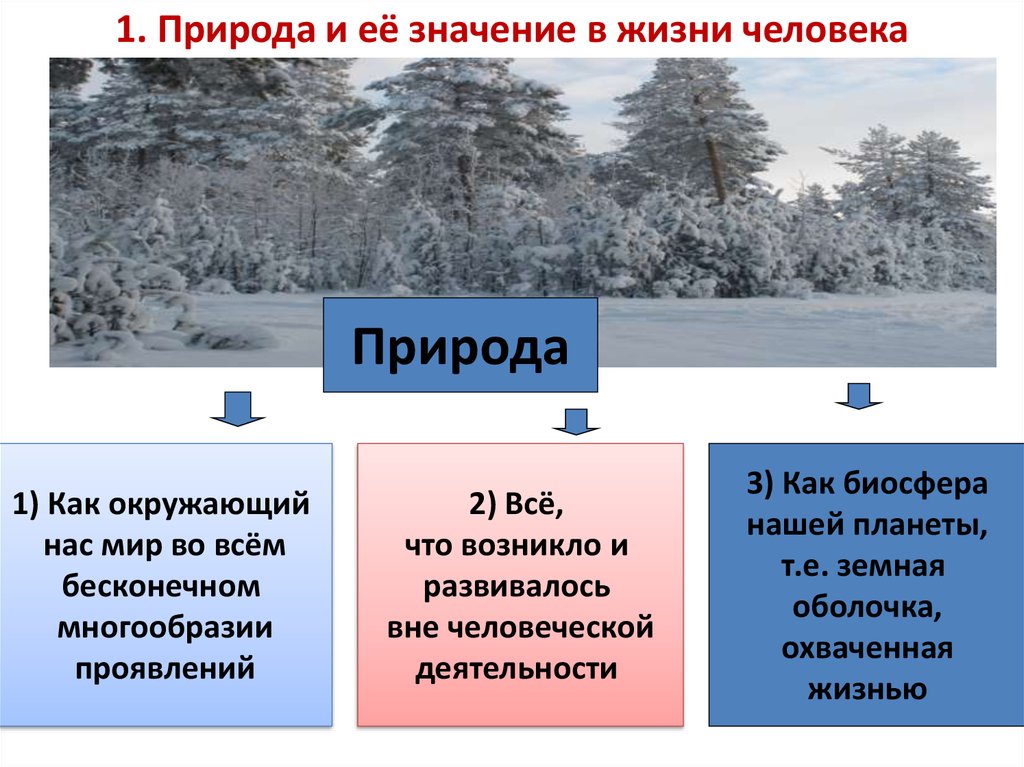 1. Природа и её значение в жизни человека