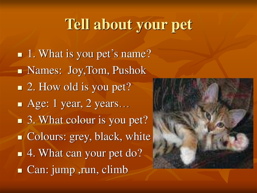 Tell about your pet