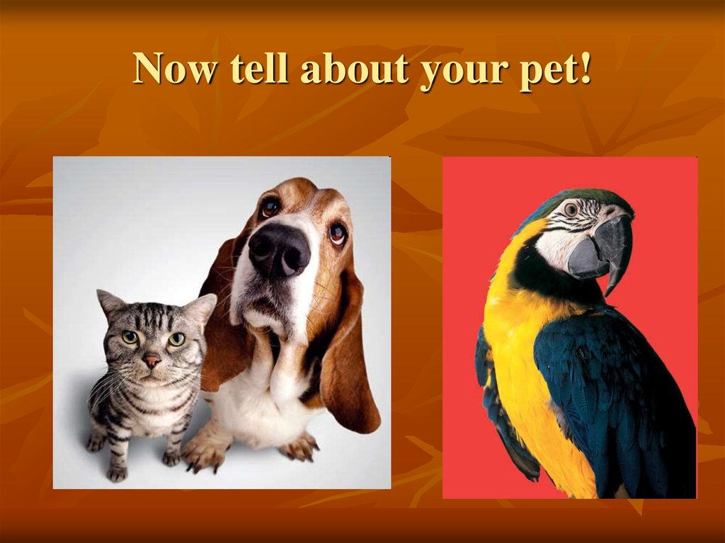 Now tell about your pet!