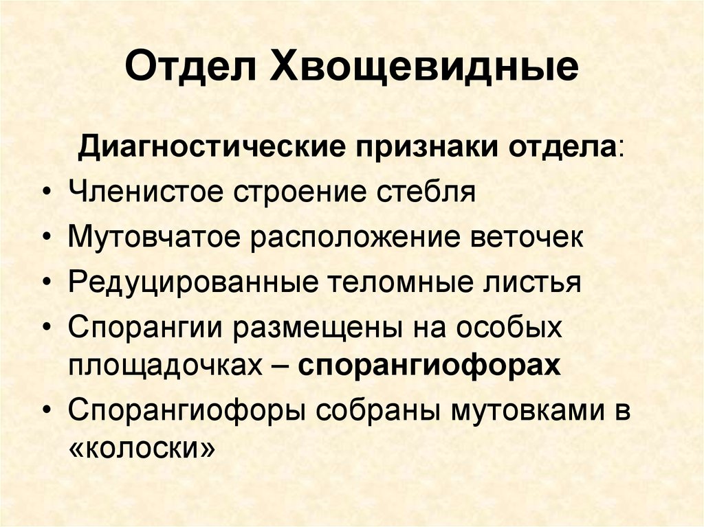 Признаки отдела. Отдел Хвощевидные признаки отдела. Признаки отдела хвощевидных. Характерные признаки хвощевидных. Для отдела Хвощевидные характерен признак.