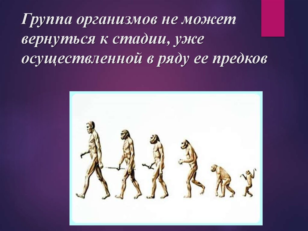 К общим правилам эволюции групп. Обратный процесс эволюции. Эволюция презентация. Закономерности эволюции человека. Древний процесс эволюции.