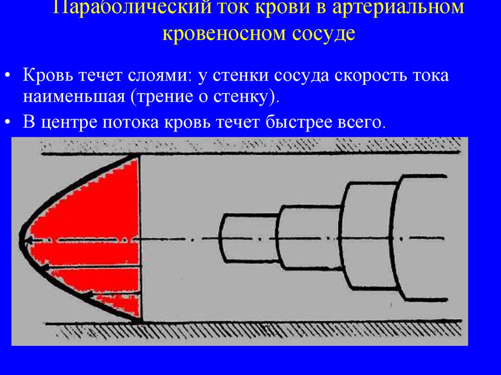 Скорость тока артерии. Параболический поток крови. Направление течения крови в артерии. Скорость тока в артериях. Ось сосуда.