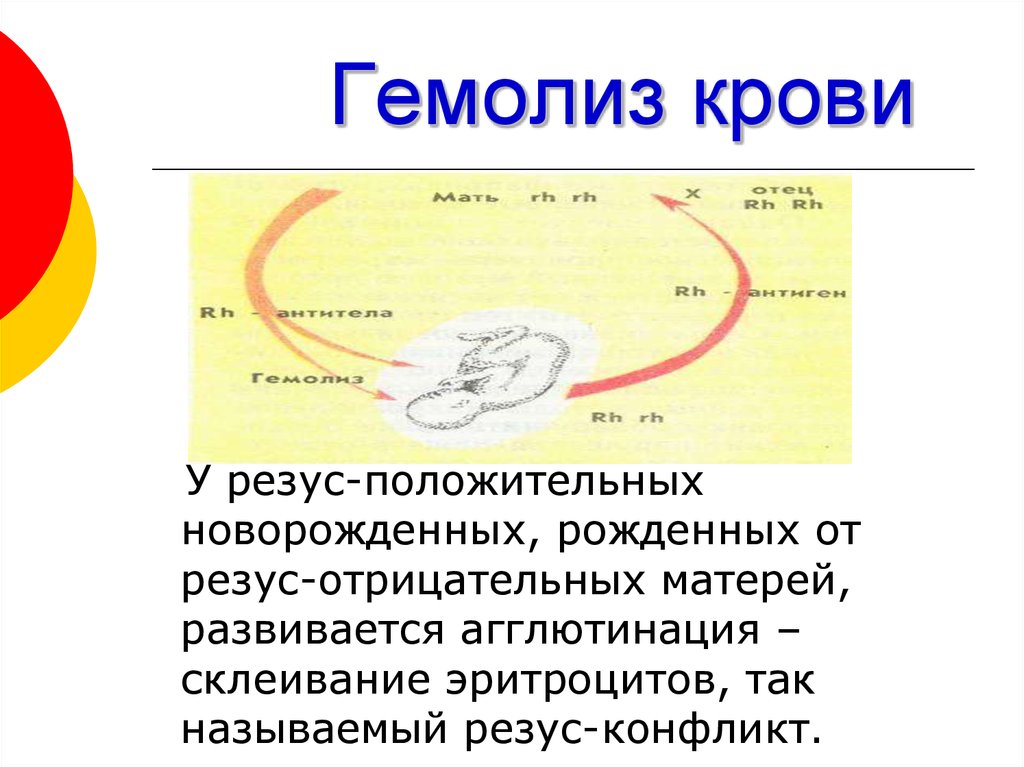 Река жизни кровь презентация