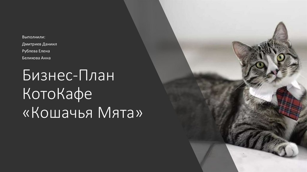 Бизнес план котокафе презентация