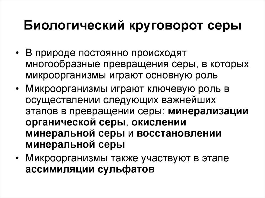 В круговороте веществ бактерии выполняют роль. Роль микроорганизмов в круговороте серы. Участие микроорганизмов в круговороте серы. Биологический круговорот серы. Круговорот серы микроорганизмы.