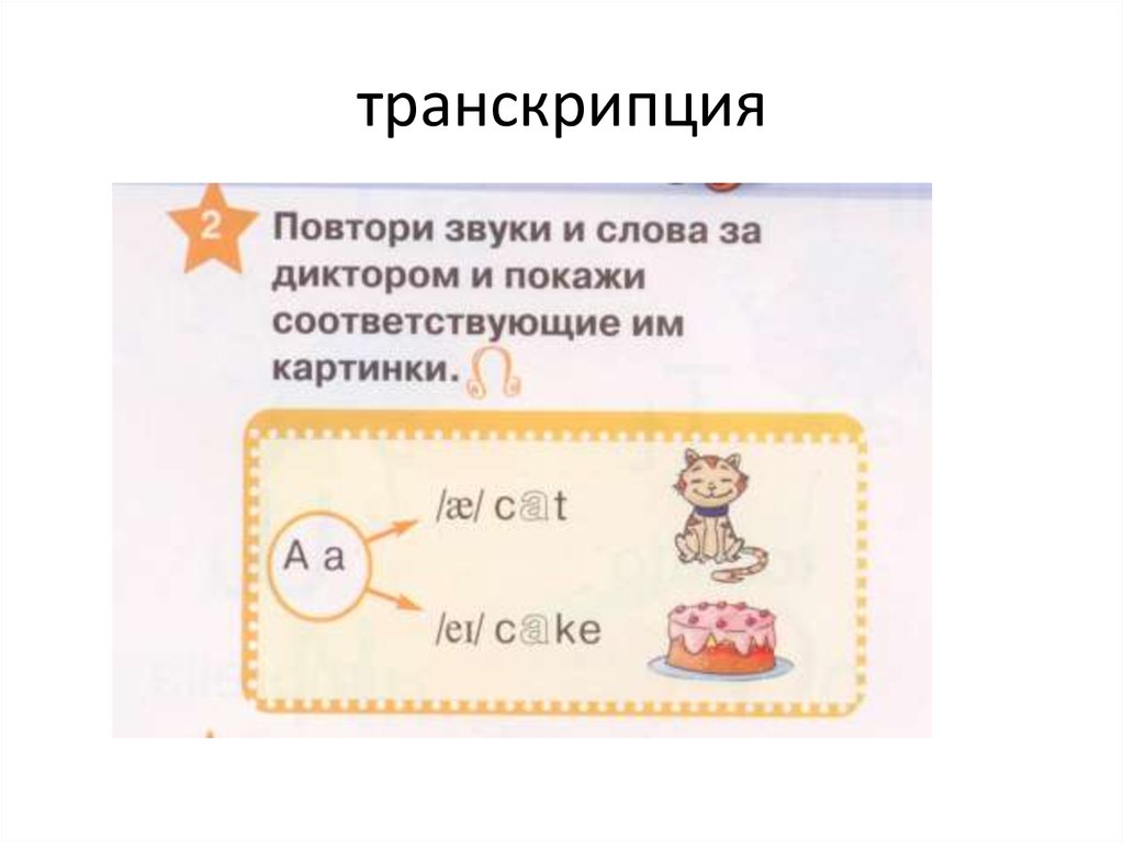 транскрипция