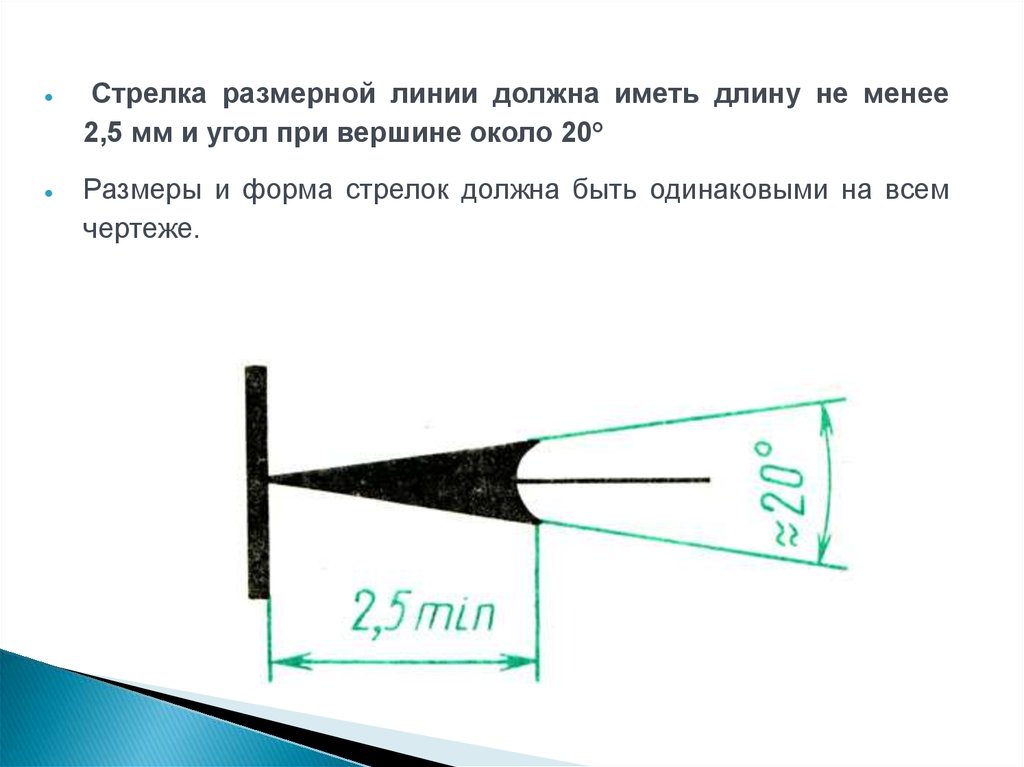 ВЫНОСКА (Краткий справочник)