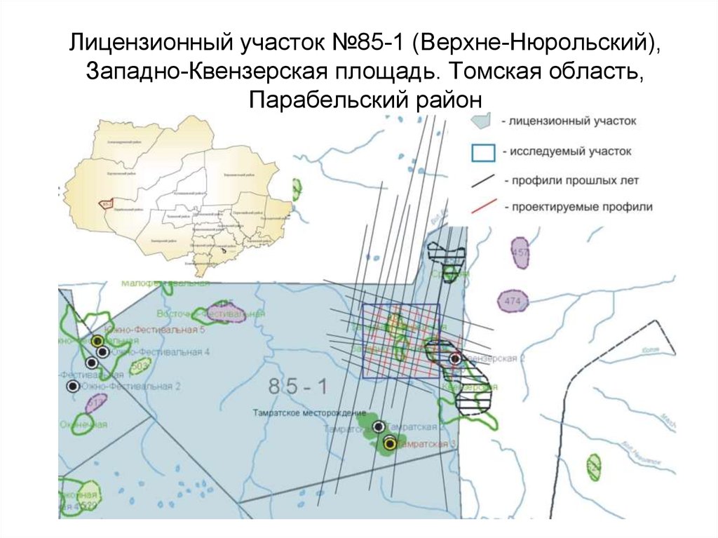 Схема лицензионных участков