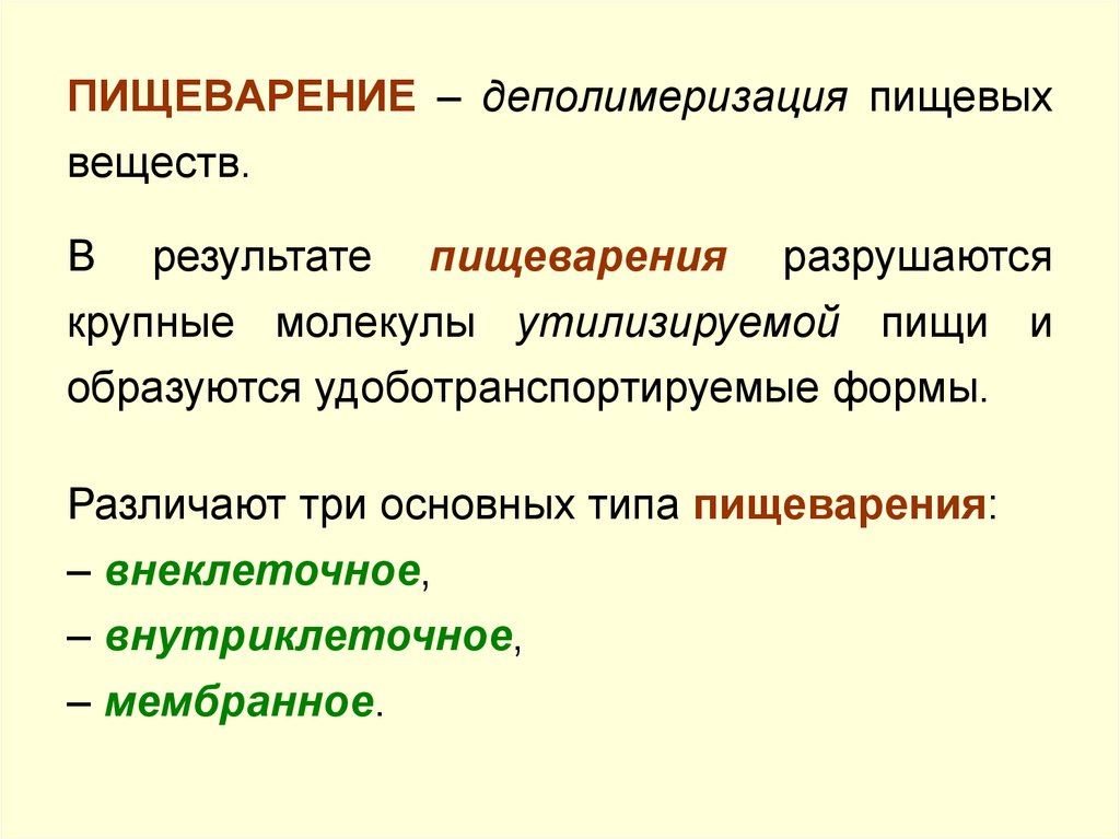 Переваривание пищевых частиц происходит в