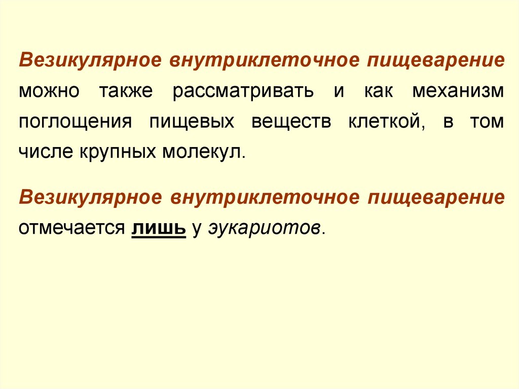 Внутриклеточное пищеварение. Внутриклеточное пищеварение происходит в. Внутриклеточное пищеварение происходит в клетках. Внутриклеточное везикулярное пищеварение.