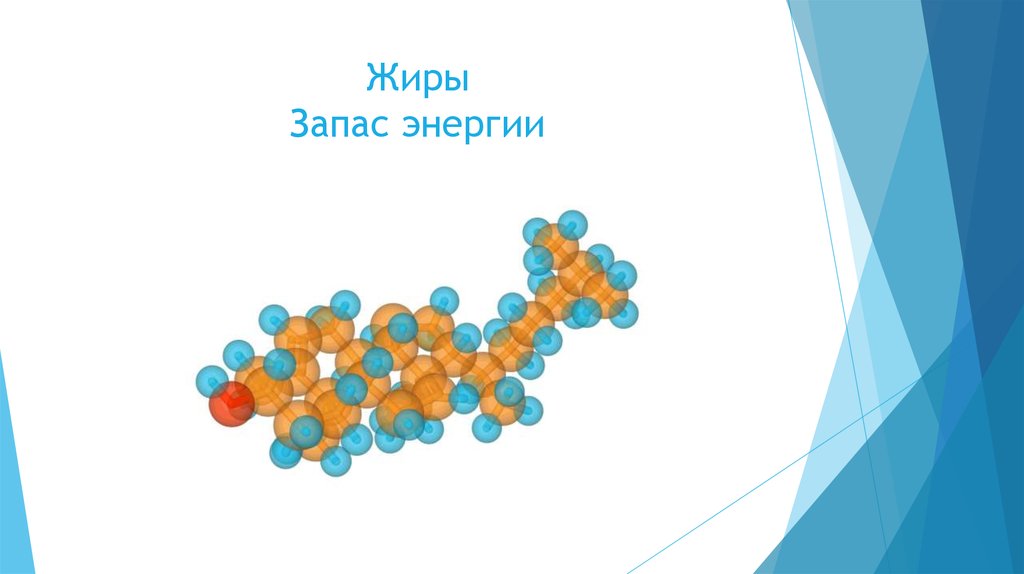 Запасы жира. Жиры запас энергии. Жиры это резервы энергии. Запас энергии. Жиры рисунок биология.