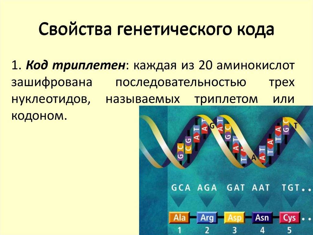 Свойство генетической информации. Генетический код система записи генетической информации в виде. Триплетный код ДНК. ДНК. Ген. генетический код.