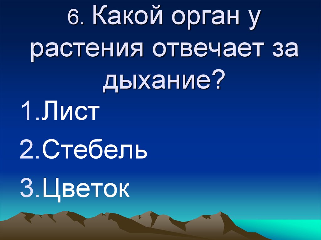 Солнце растения и мы 3 класс. Солнце растения и мы с вами 3 класс окружающий мир. Какой орган у растений отвечает за дыхание. Тест по окружающему миру 3 класс солнце растения и мы с вами. Окружающиймир контрольная работа слце растения и мы с вами.