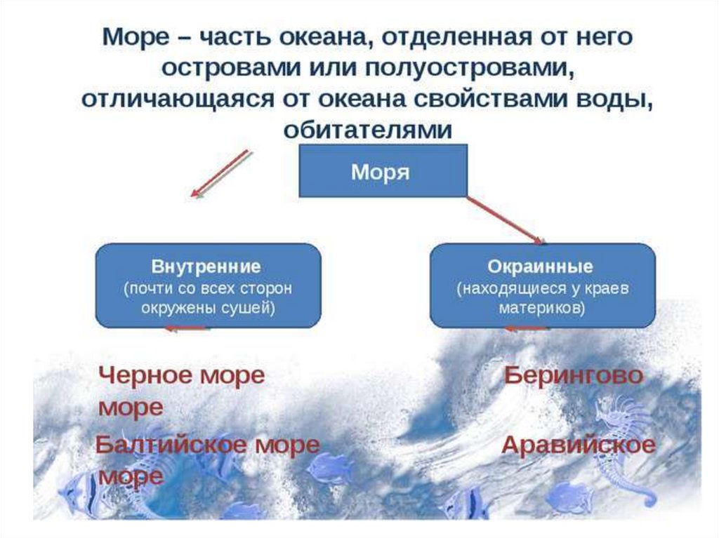 Части океана 5 класс