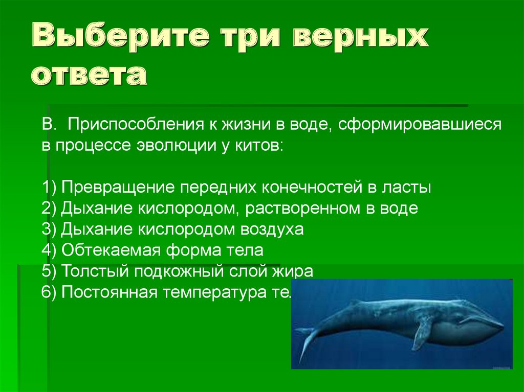 3 формы организмов. Приспособление к жизни в воде сформировавшиеся. Приспособления к жизни в воде сформировавшиеся в процессе. Обтекаемые формулировки. Превращение конечностей в ласты у ластоногих.