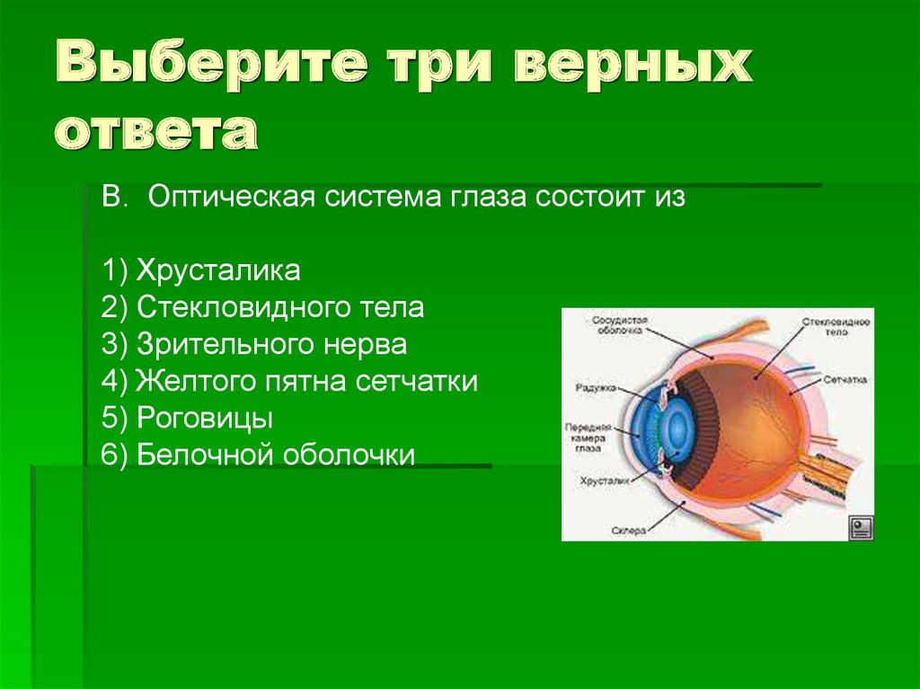 Выберите 3 верных