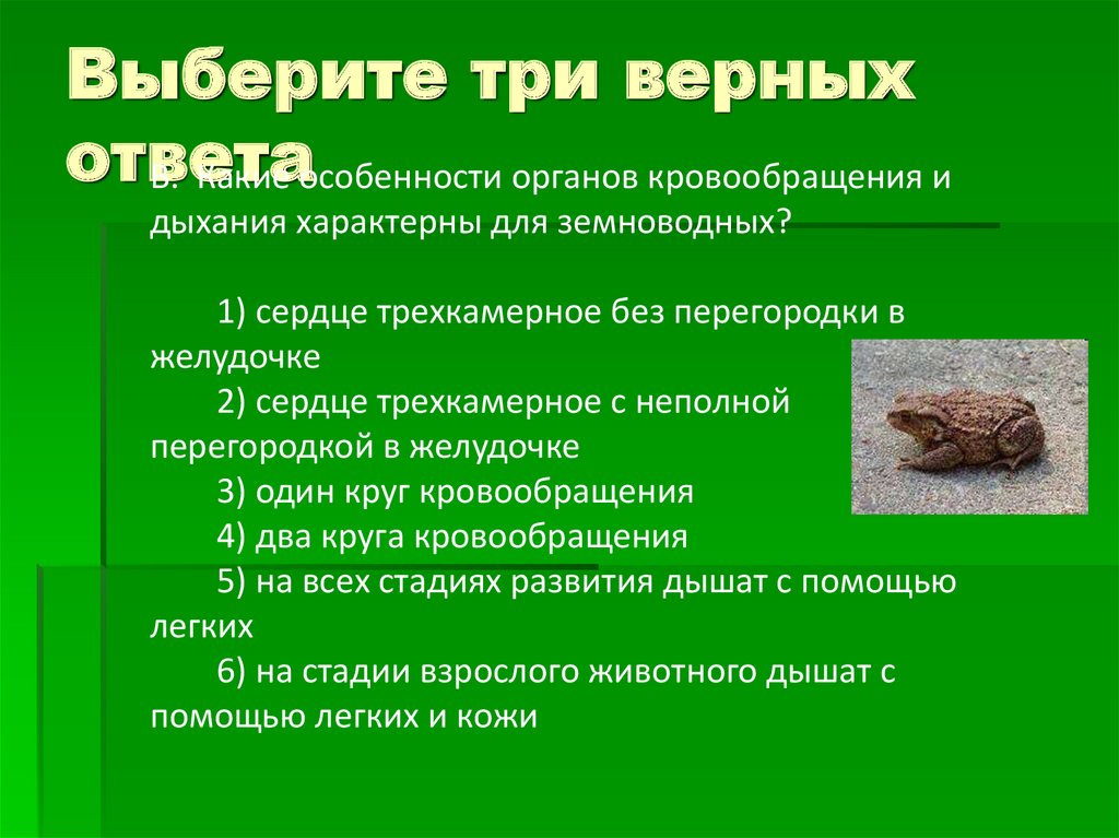 Выберите три верных ответа