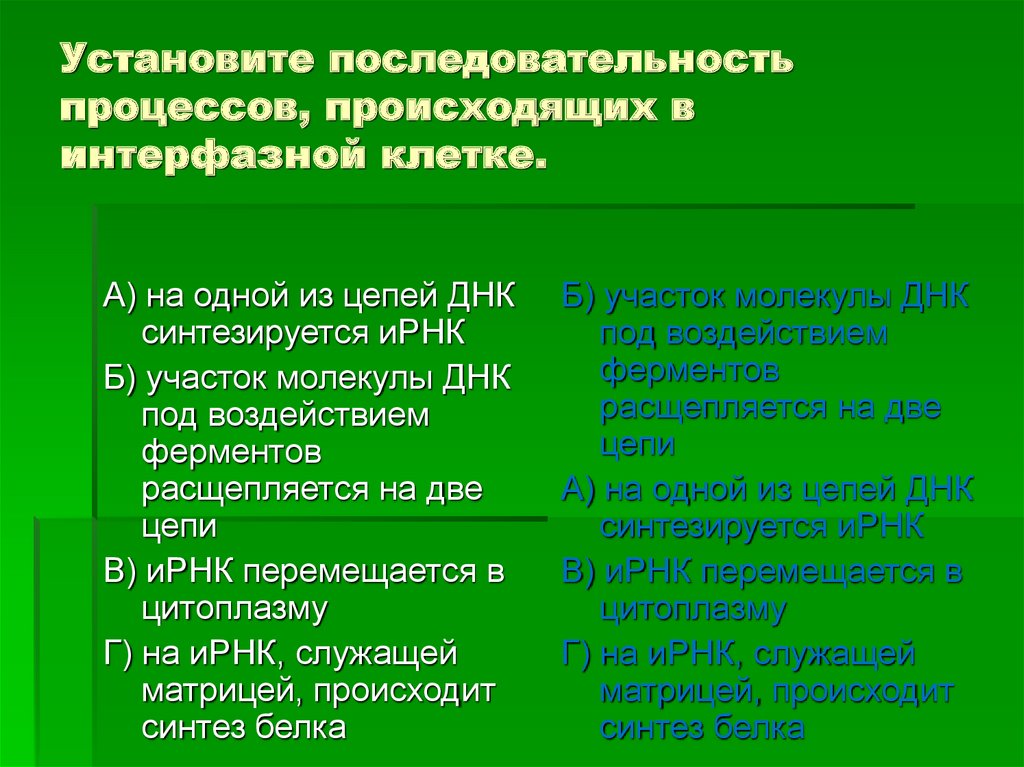 Установите последовательность появления групп растений