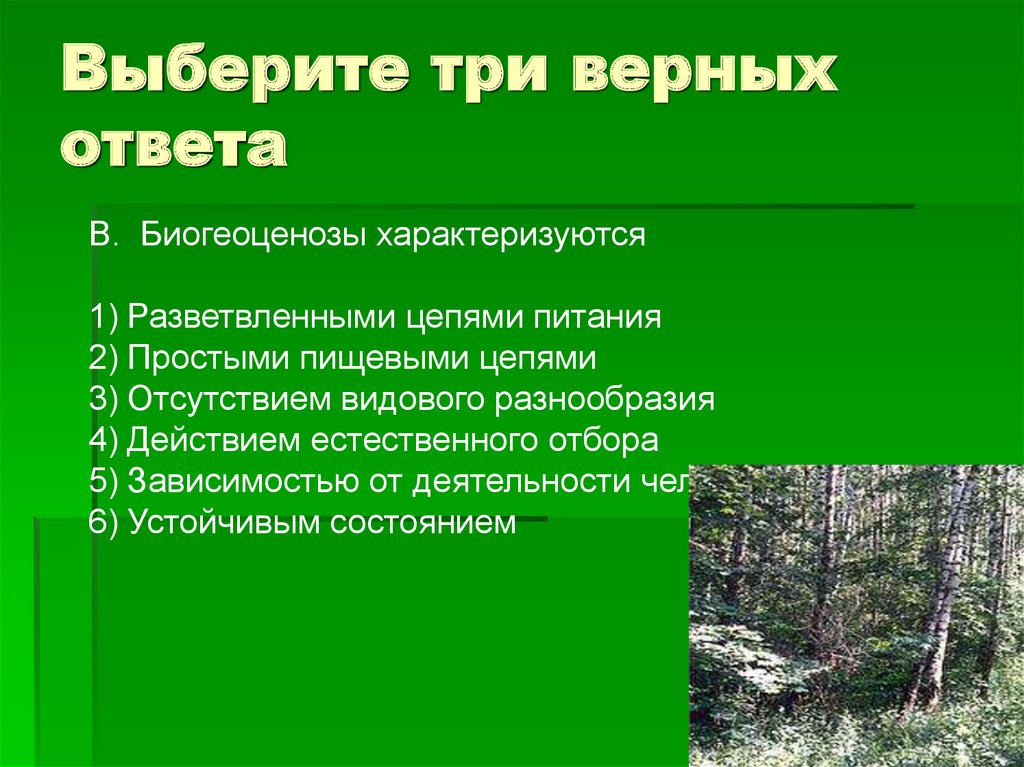 Выберите три верных варианта ответа