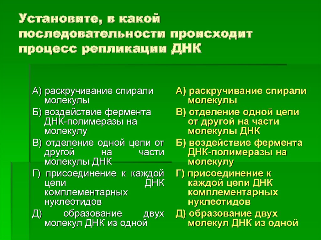 Установите последовательность происходящих. В какой последовательности происходит процесс репликации ДНК. Репликация последовательность процессов. Установите последовательность процессов при репликации. Установите последовательность процессов происходящих при реп.