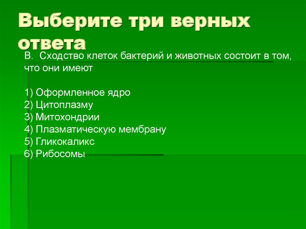 Сходство клеток растений животных заключается в наличии