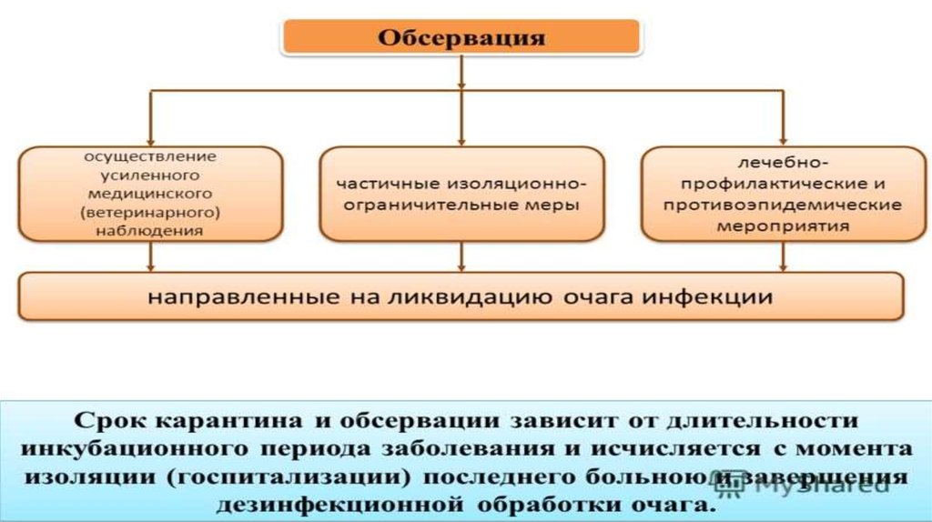 Обсервация что это в медицине простыми