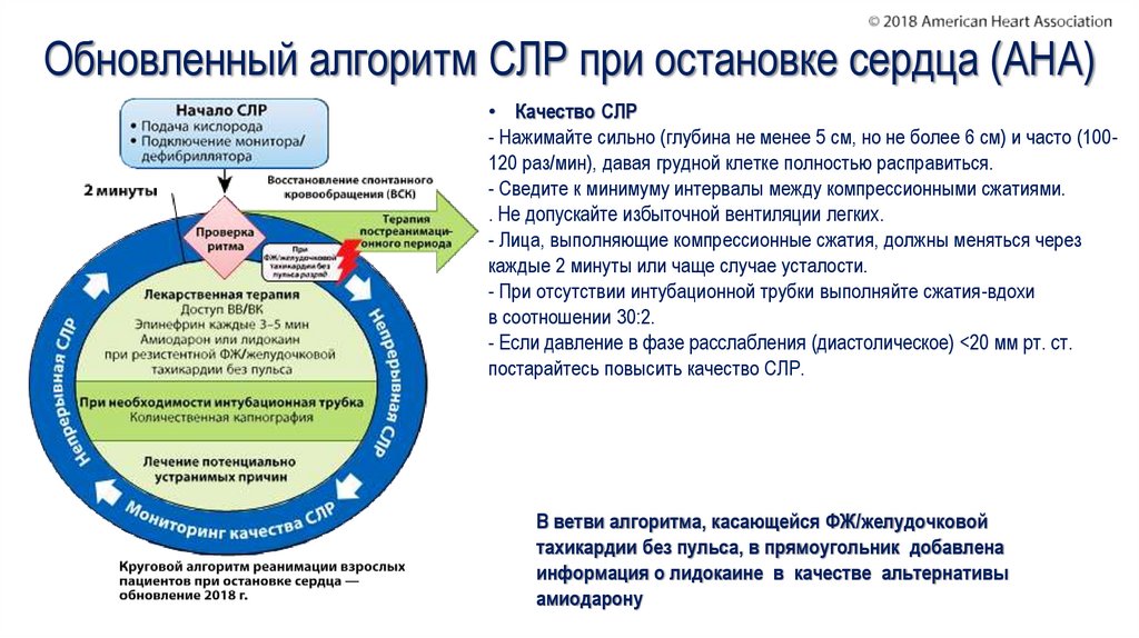 Протокол слр у взрослых образец смп