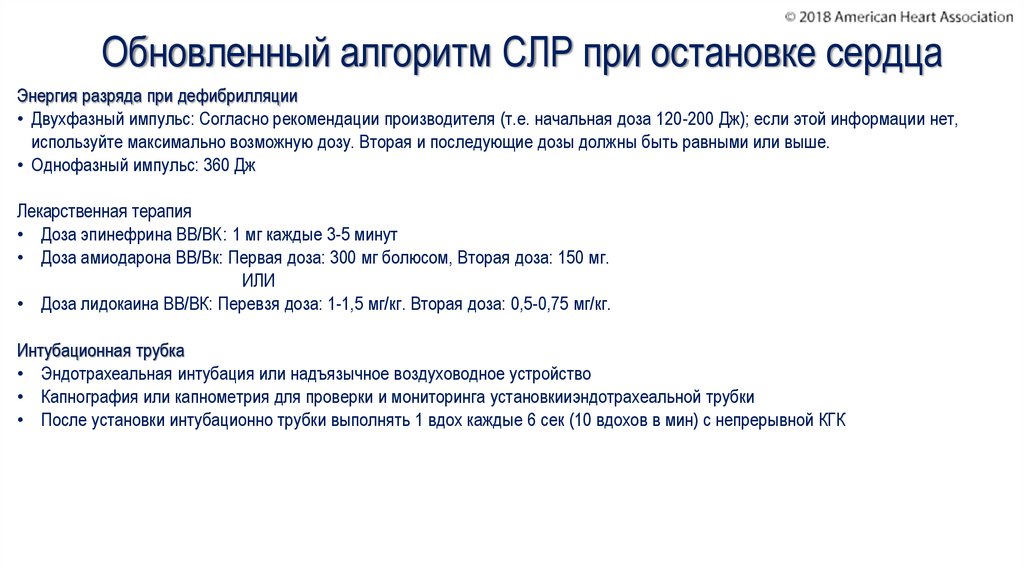 Протокол слр у взрослых образец смп