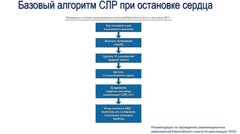 Алгоритм базовой сердечной реанимации