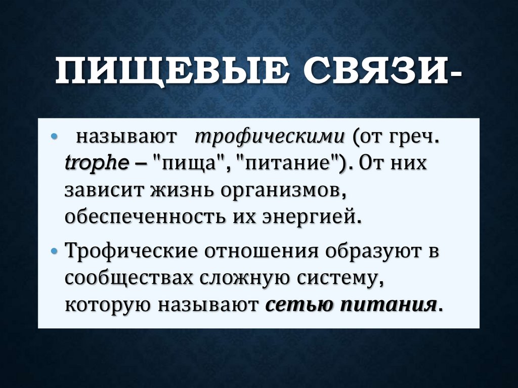 Пищевые связи-