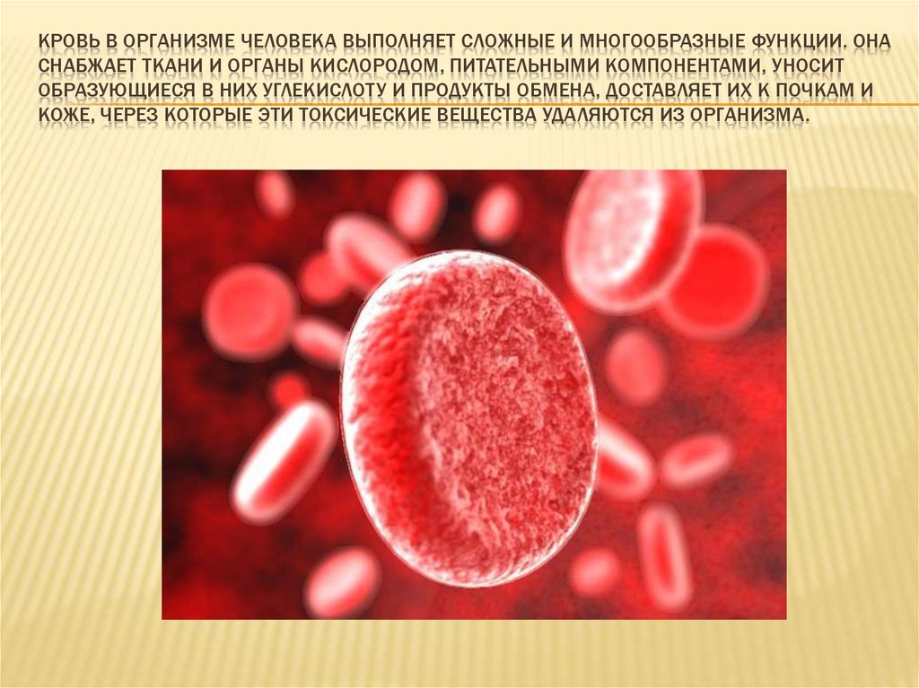 Кровь человека презентация