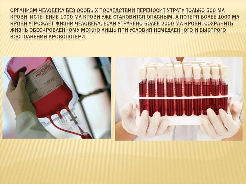 Где происходит очистка крови от вредных веществ. 500 Мл крови. Потеря 500 мл крови.