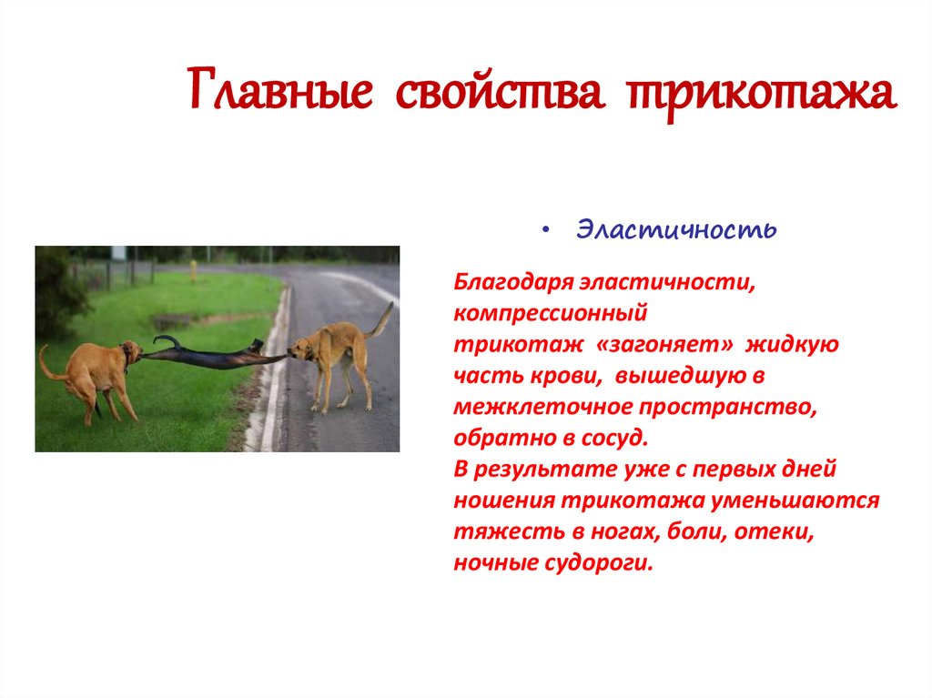 Главные свойства трикотажа