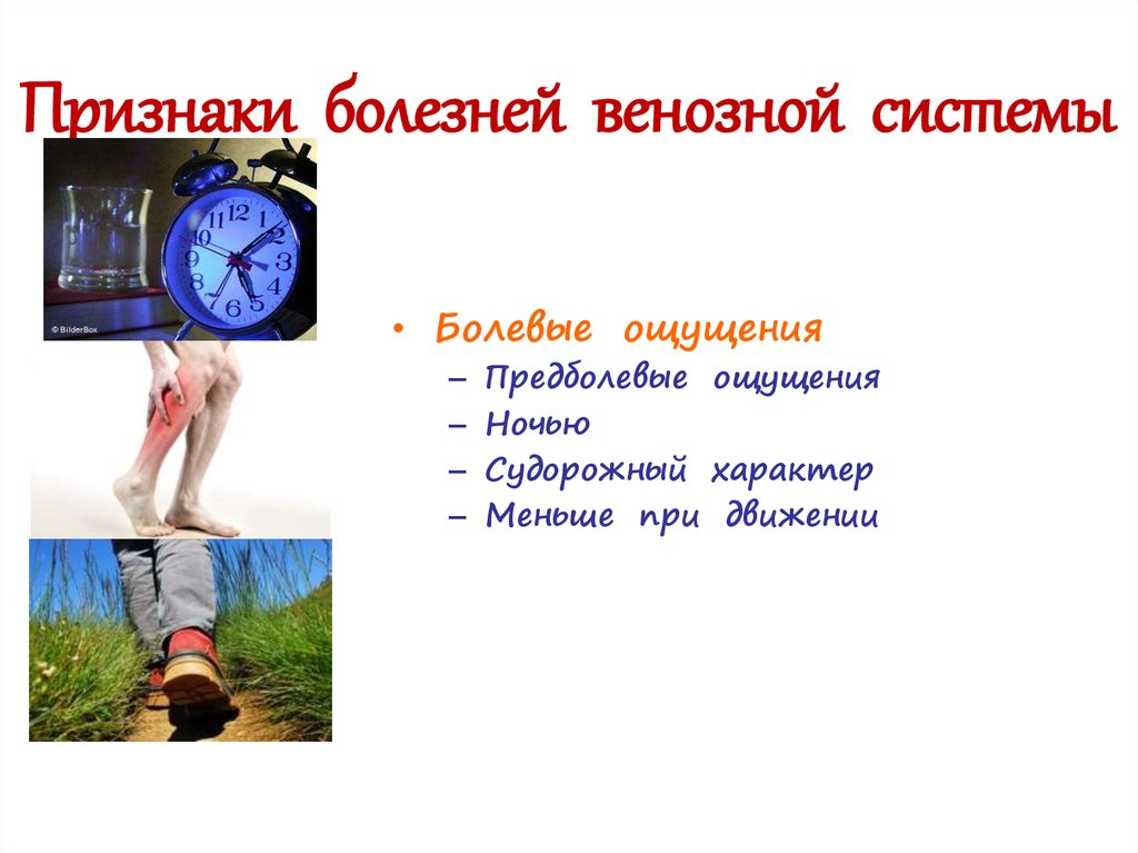 Признаки болезней венозной системы