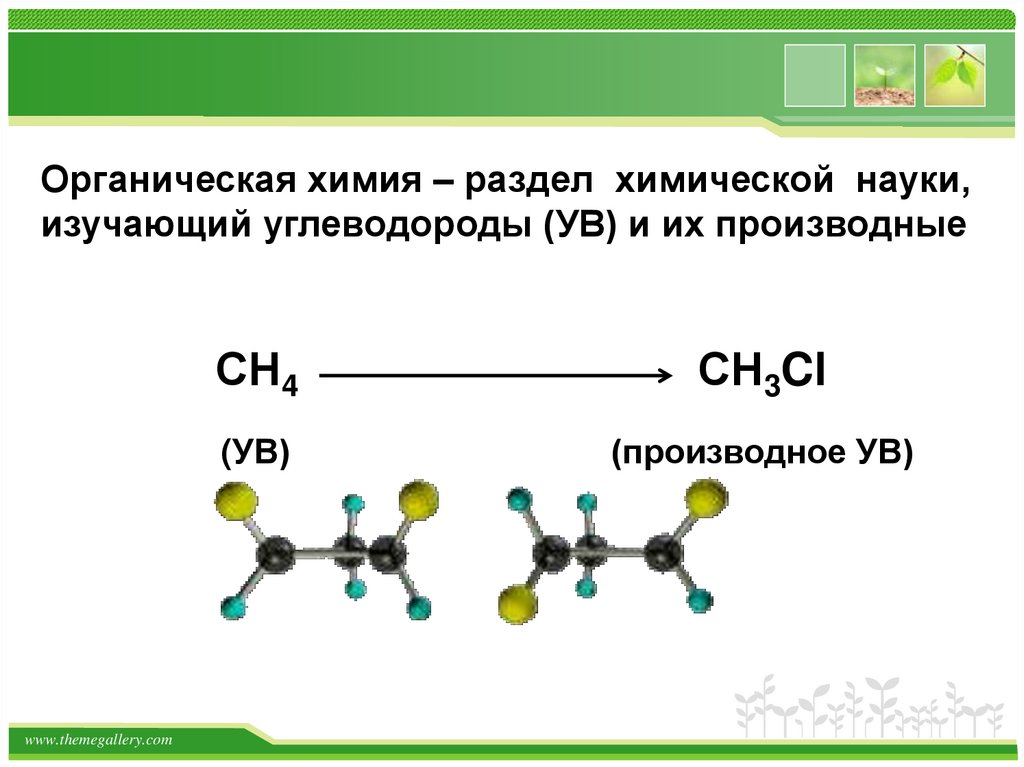 Проект по органической химии