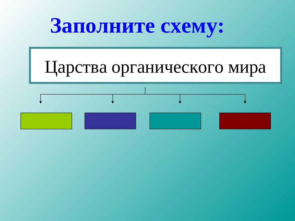 Заполните схему животные