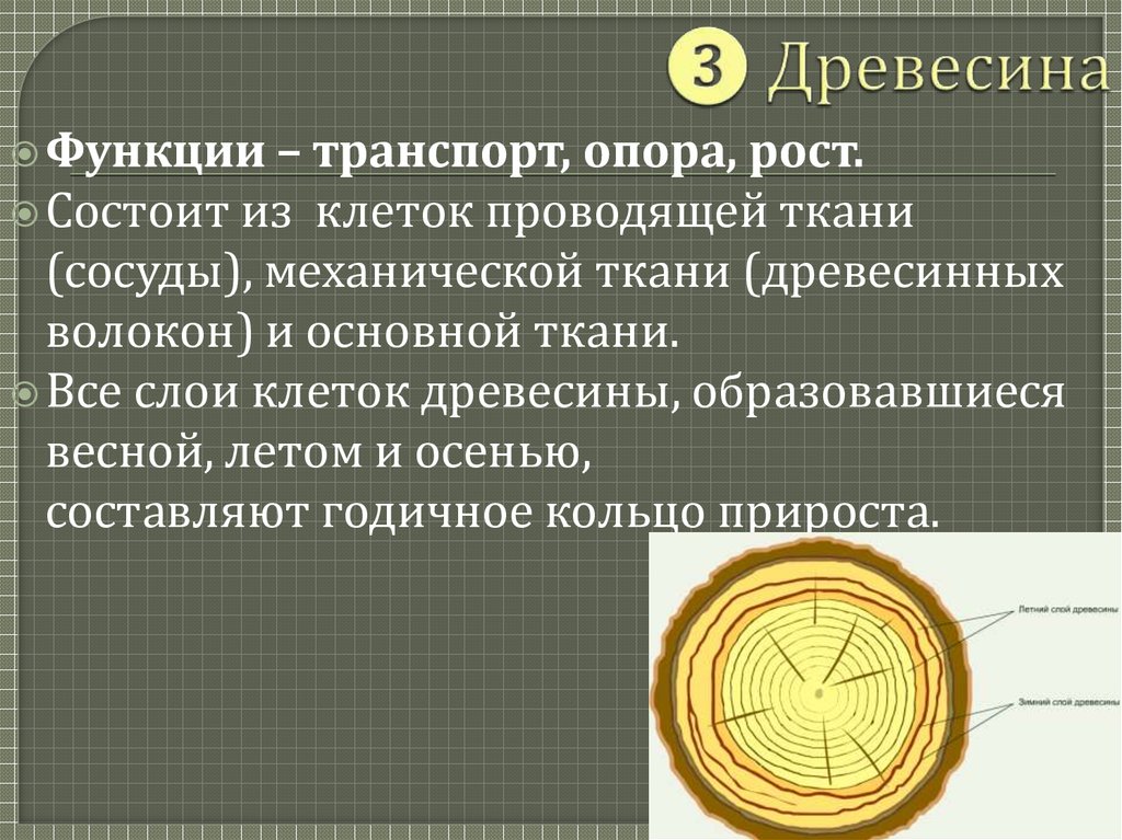 Древесина функции