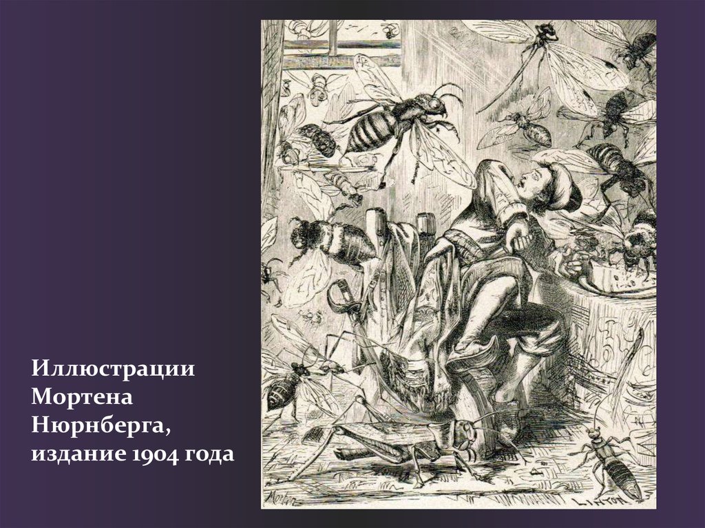 Иллюстрации Мортена Нюрнберга, издание 1904 года