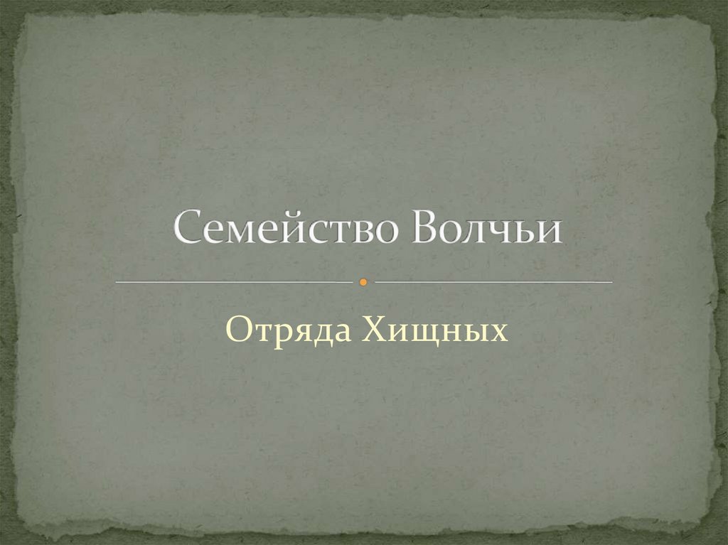 Семейство волчьих презентация