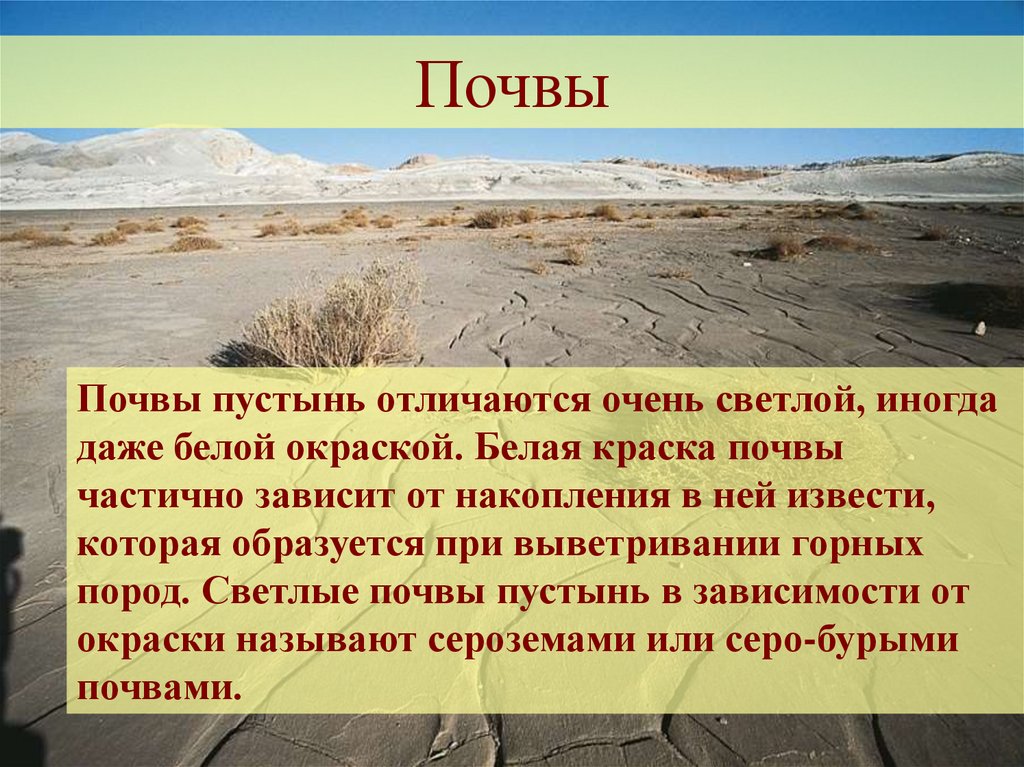 План описания природной зоны полупустыни и пустыни умеренного пояса евразии